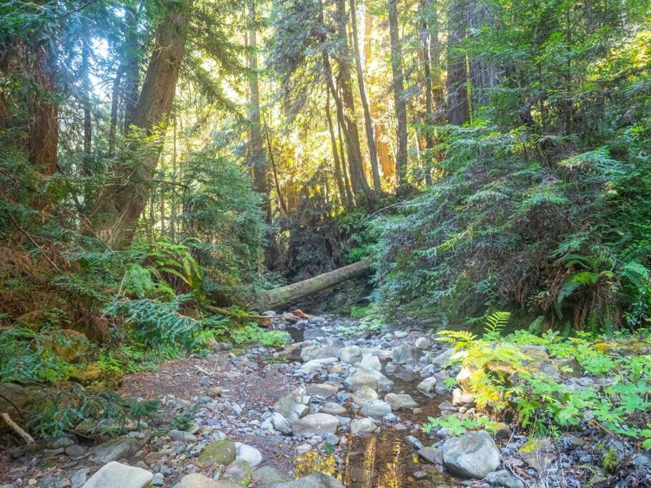 Driftwood Lodge ~ 5 Bedroom / 7 Bath ~ 30-Acre Private Estate On Hwy 1 ~ Hot Tub ~ Oceanview ~ Reunions & Retreats Walsh Landing Zewnętrze zdjęcie
