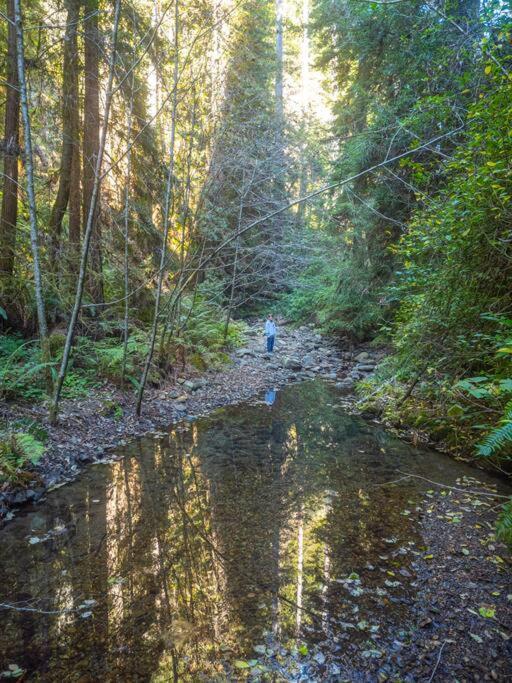 Driftwood Lodge ~ 5 Bedroom / 7 Bath ~ 30-Acre Private Estate On Hwy 1 ~ Hot Tub ~ Oceanview ~ Reunions & Retreats Walsh Landing Zewnętrze zdjęcie